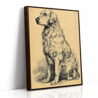 The Good Old Boy: Vintage Setter Sketch