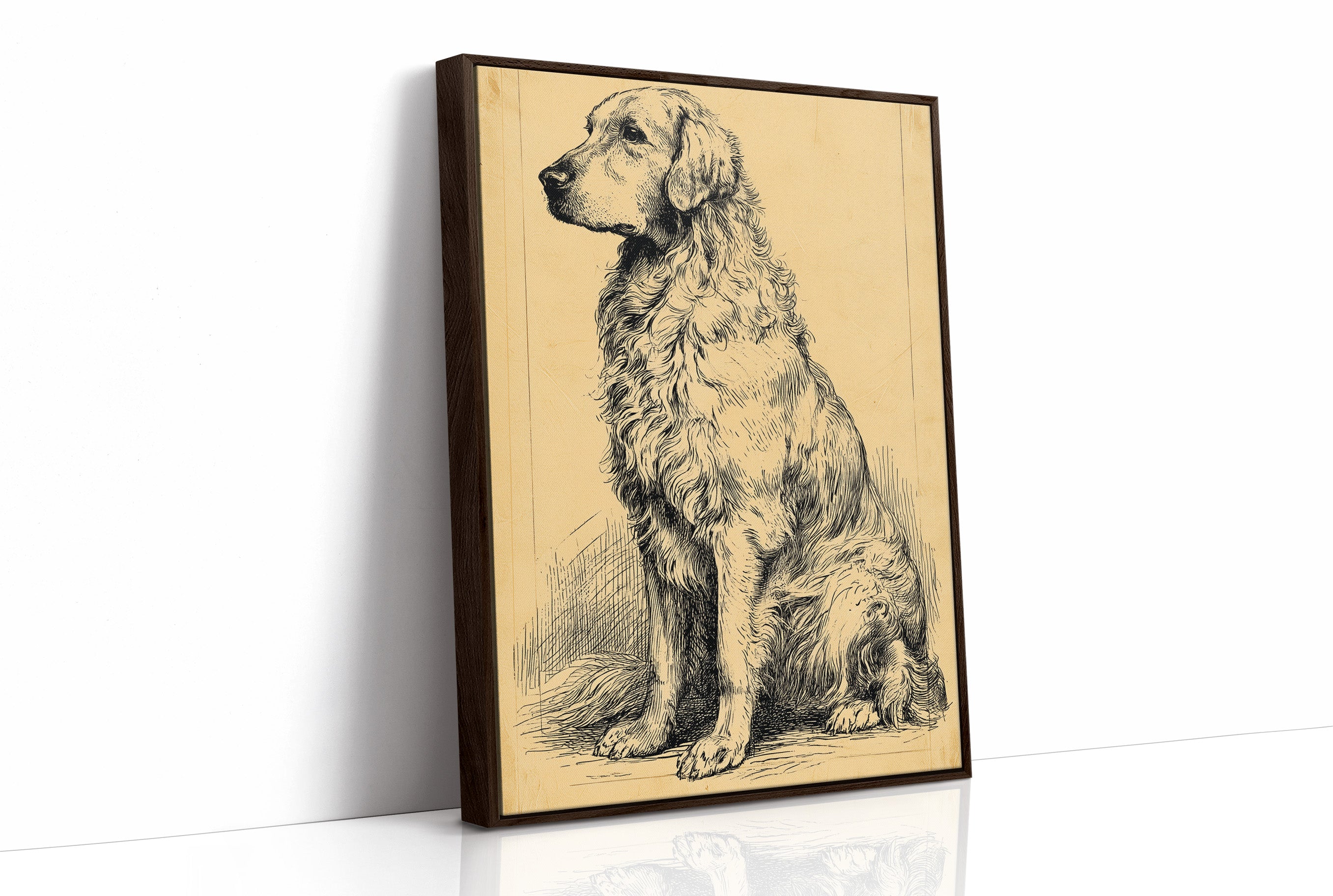 The Good Old Boy: Vintage Setter Sketch