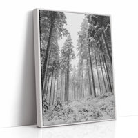 Beneath the Silent Canopy