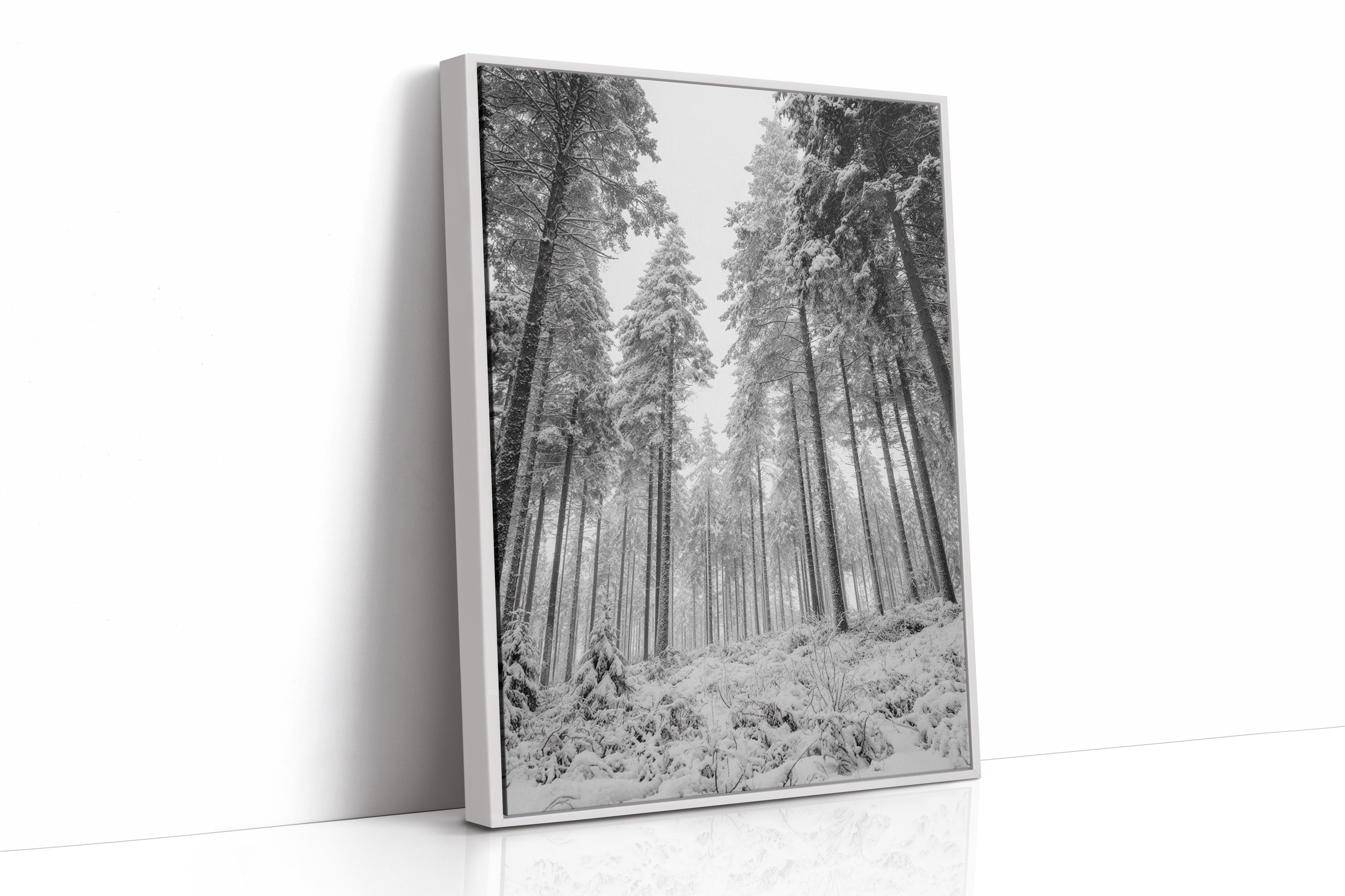 Beneath the Silent Canopy