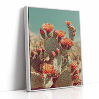 Desert Blooms in Radiant Sunlight