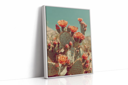 Desert Blooms in Radiant Sunlight