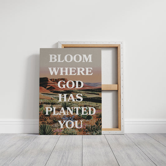 Where The Desert Learns Your Name