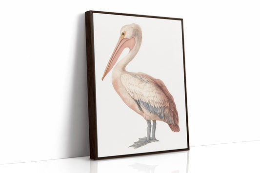 Beneath A Soft Feathered Gaze