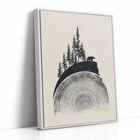 Where The Forest Meets Time