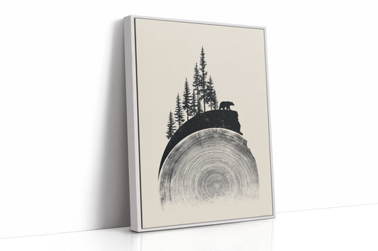 Where The Forest Meets Time
