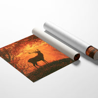 Stag, Struck by Sunrise