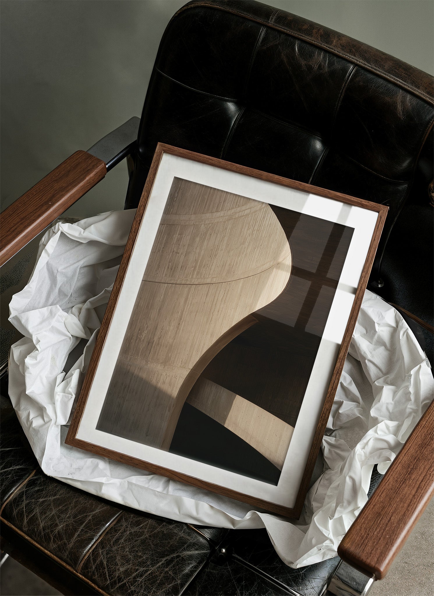 Sculpted Shadow