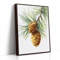 Beneath The Pine's Gentle Embrace