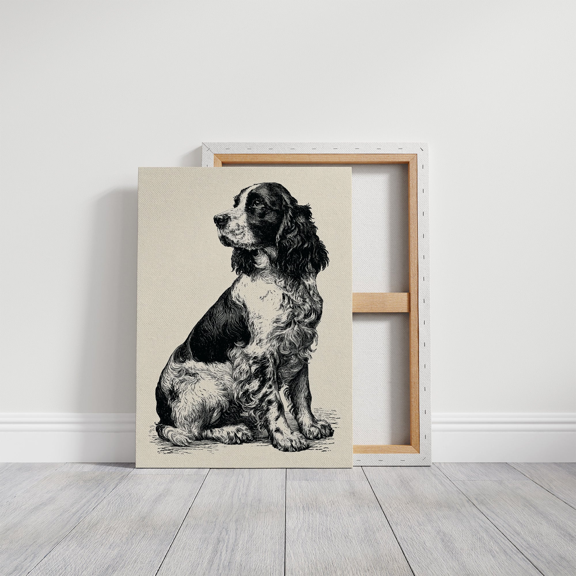 The Springer's Quiet Profile