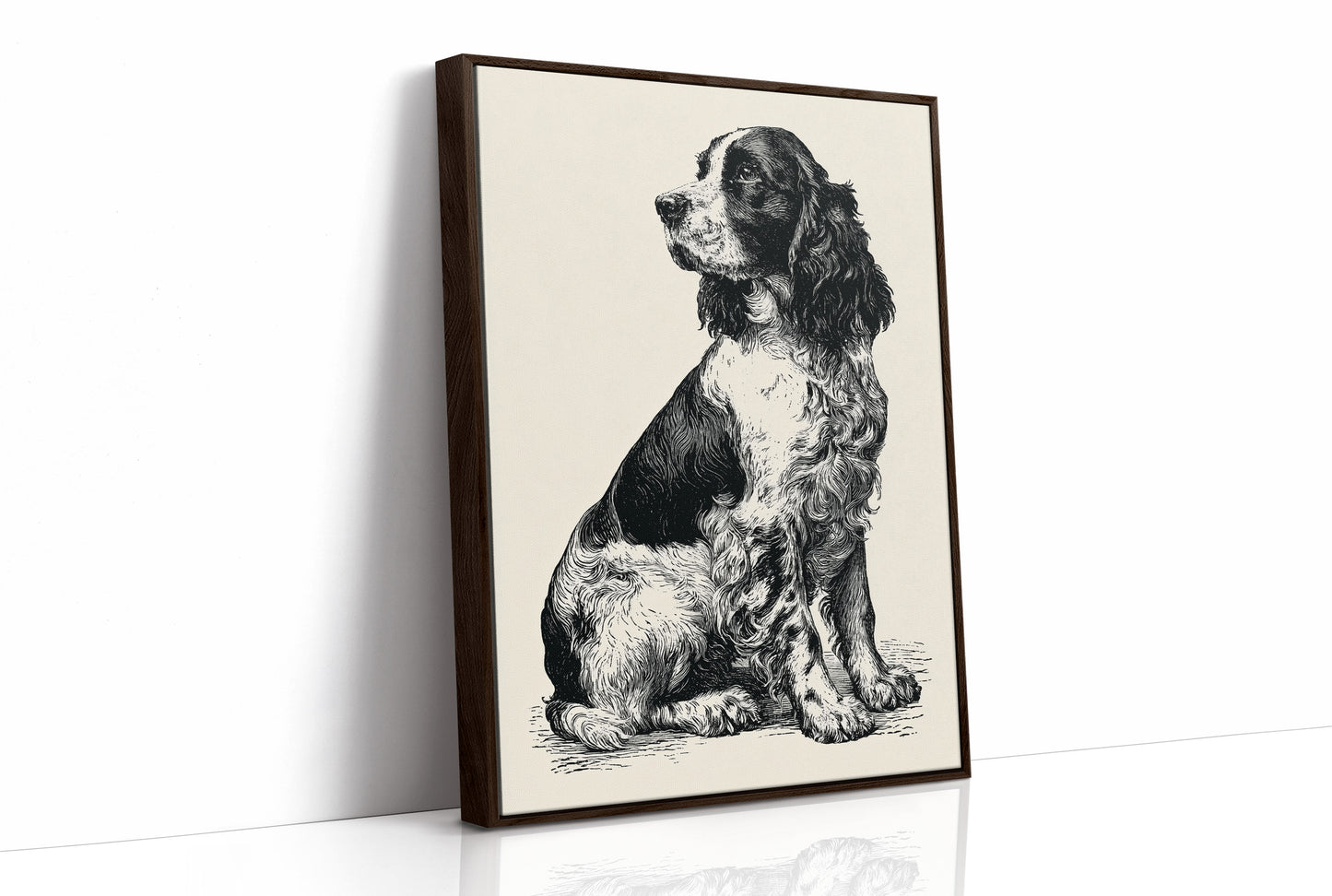 The Springer's Quiet Profile