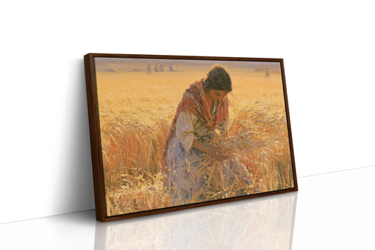 Gathering Sheaves at Golden Hour
