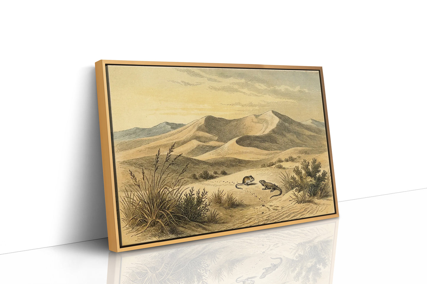 Kangaroo Rat and the Dune Lizard