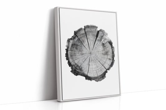 Textured Tree Ring Study