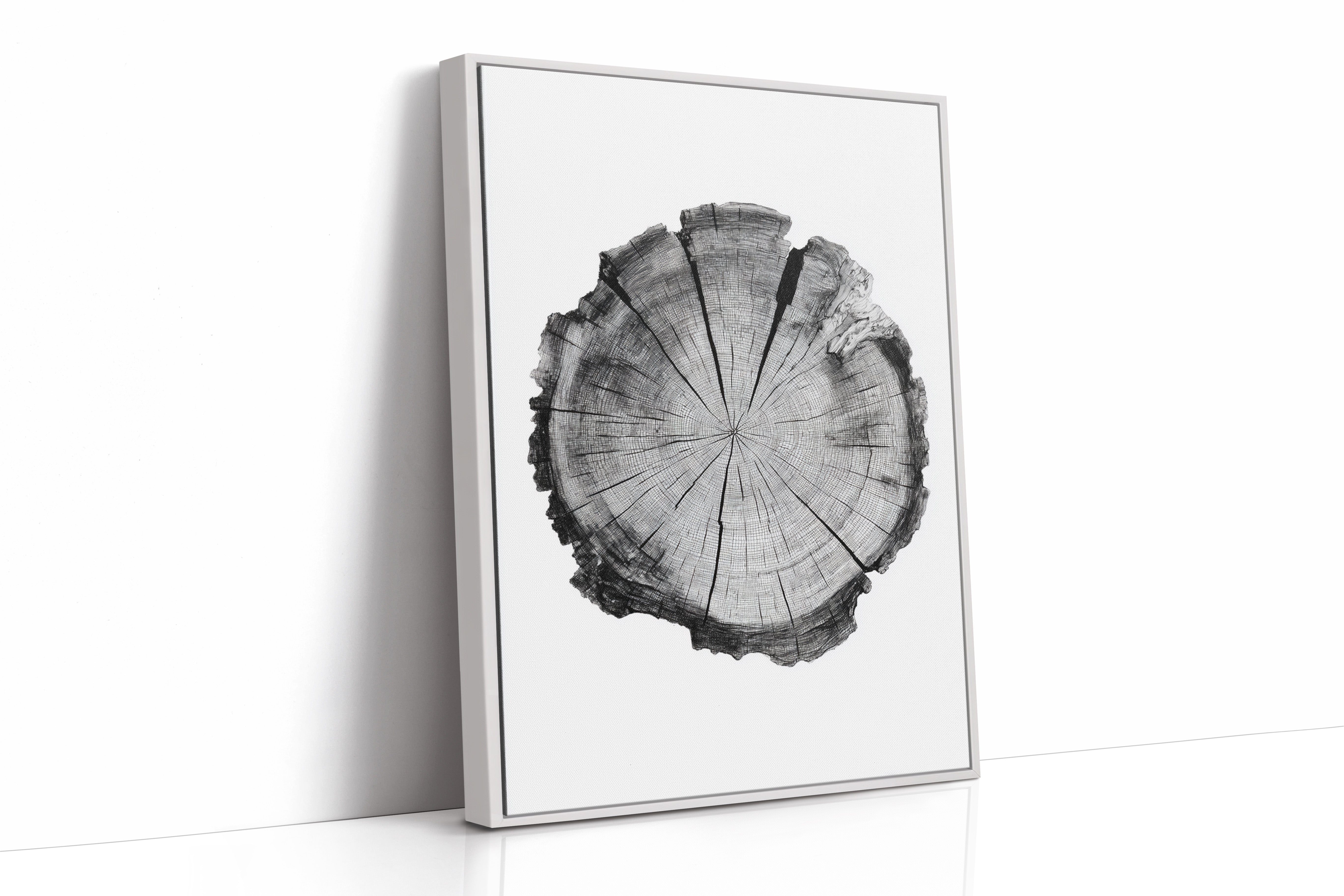 Textured Tree Ring Study