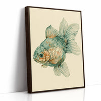 The Fancy One: Ornamental Goldfish Study