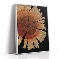 Nature's Timekeeper Unveiled