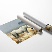 White Mare at the Windmill Farm