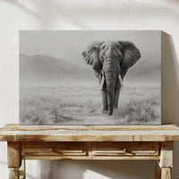 Wisdom Walks The Savanna Plains