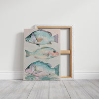 Three of a School: Coastal Fish Trio