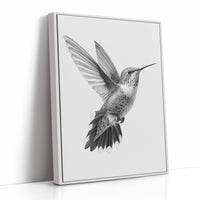Graceful Hummingbird in Flight