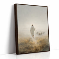 Guiding Light Through Misty Fields