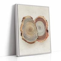 Intertwined Tree Rings