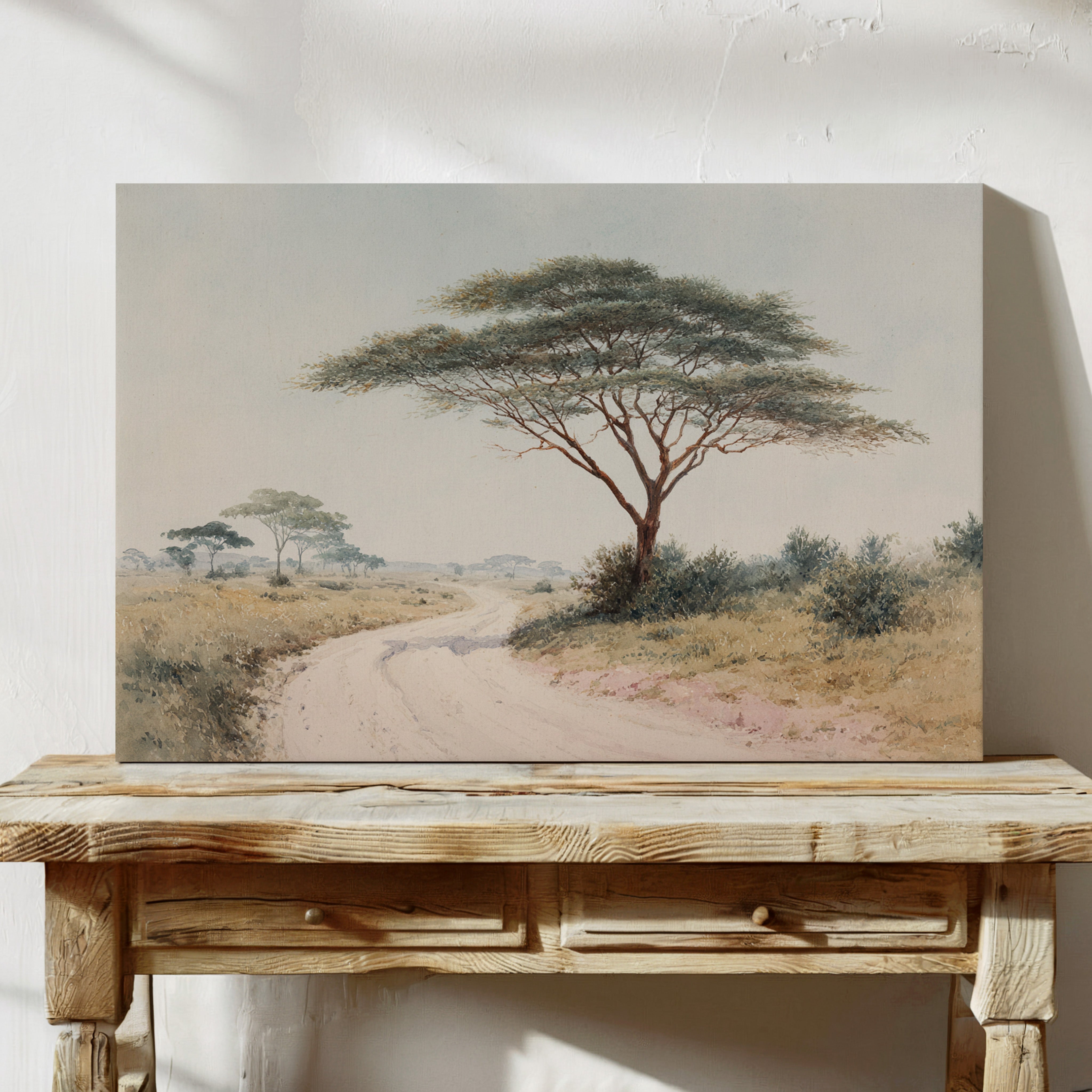 Acacia Bends Over Winding Path
