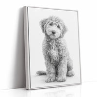 Curly Coat and Kind Eyes