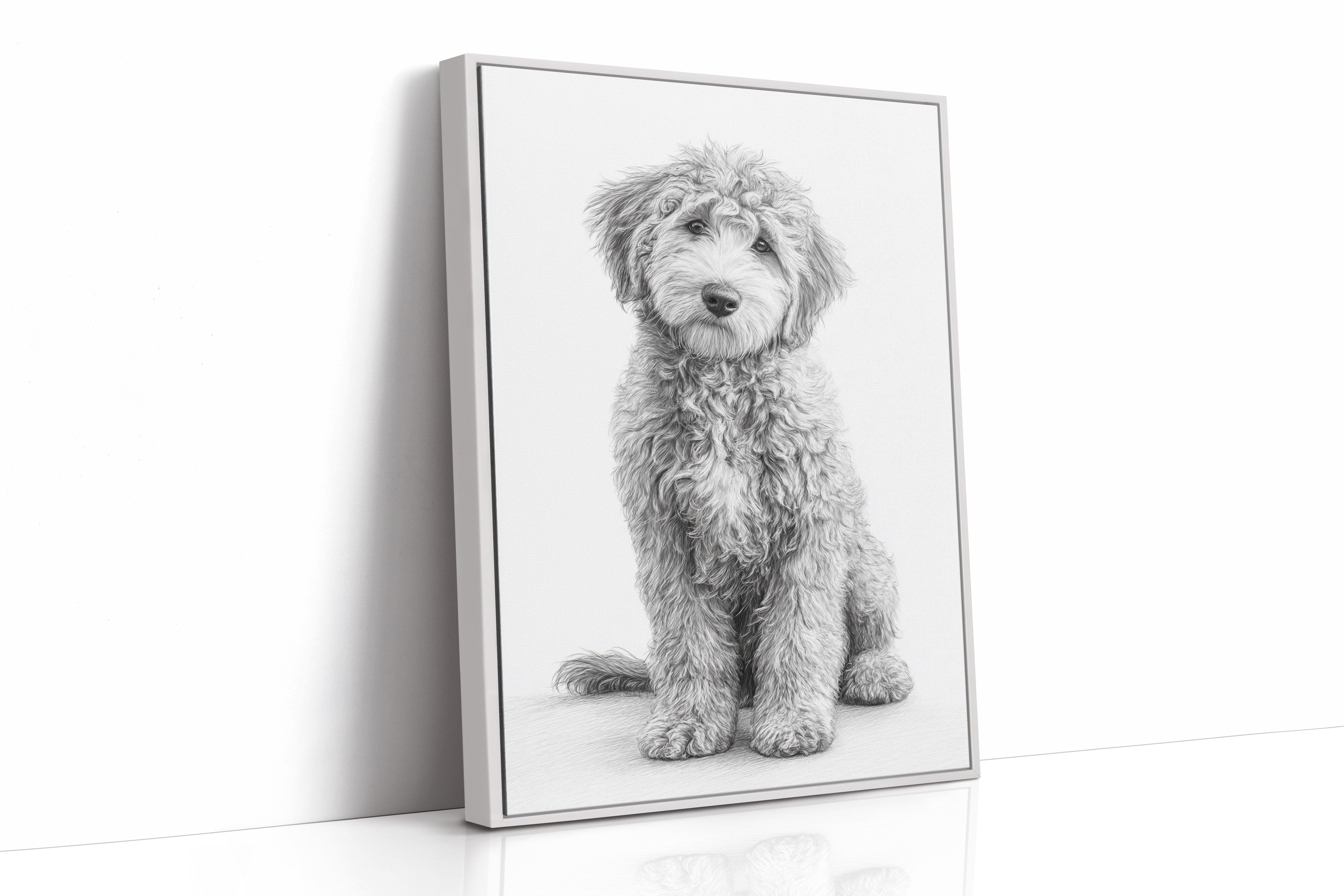 Curly Coat and Kind Eyes