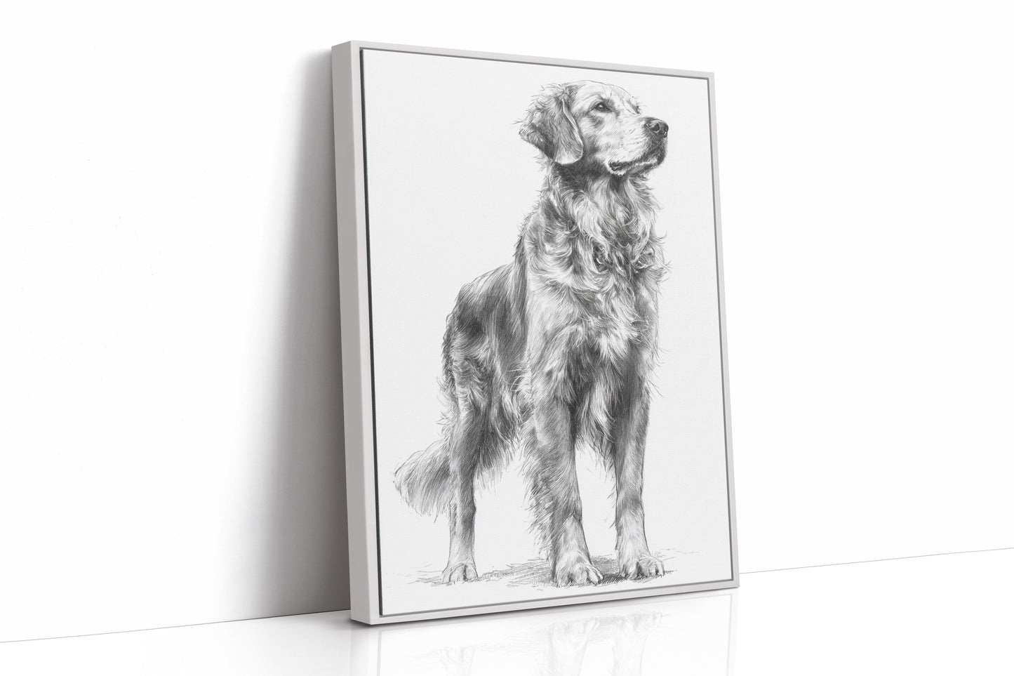 Noble Gaze of Loyalty