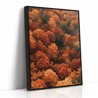 Maximum Maple Volume