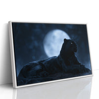 Night Owl, Technically Feline