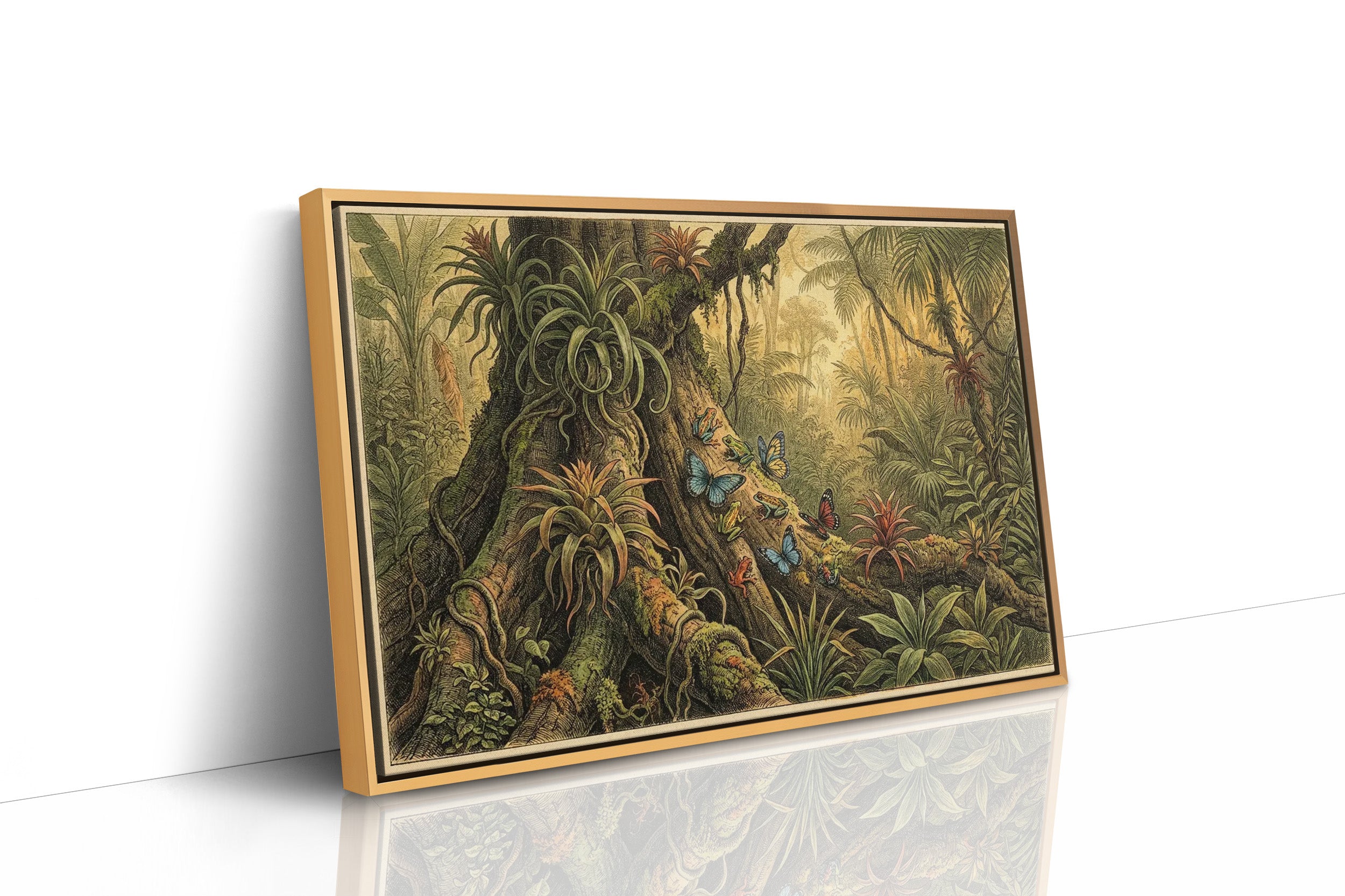 Frogs, Wings, and Rainforest Root