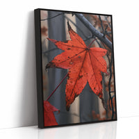 The Last Leaf Holding On