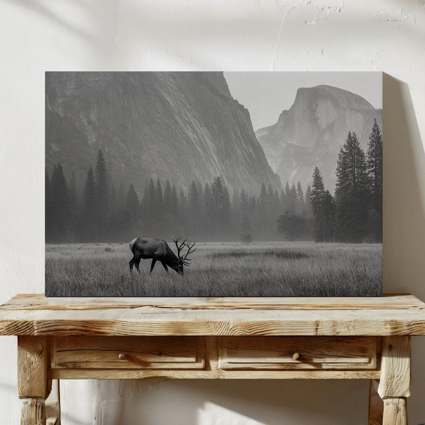Lone Elk Graces Valley Floor