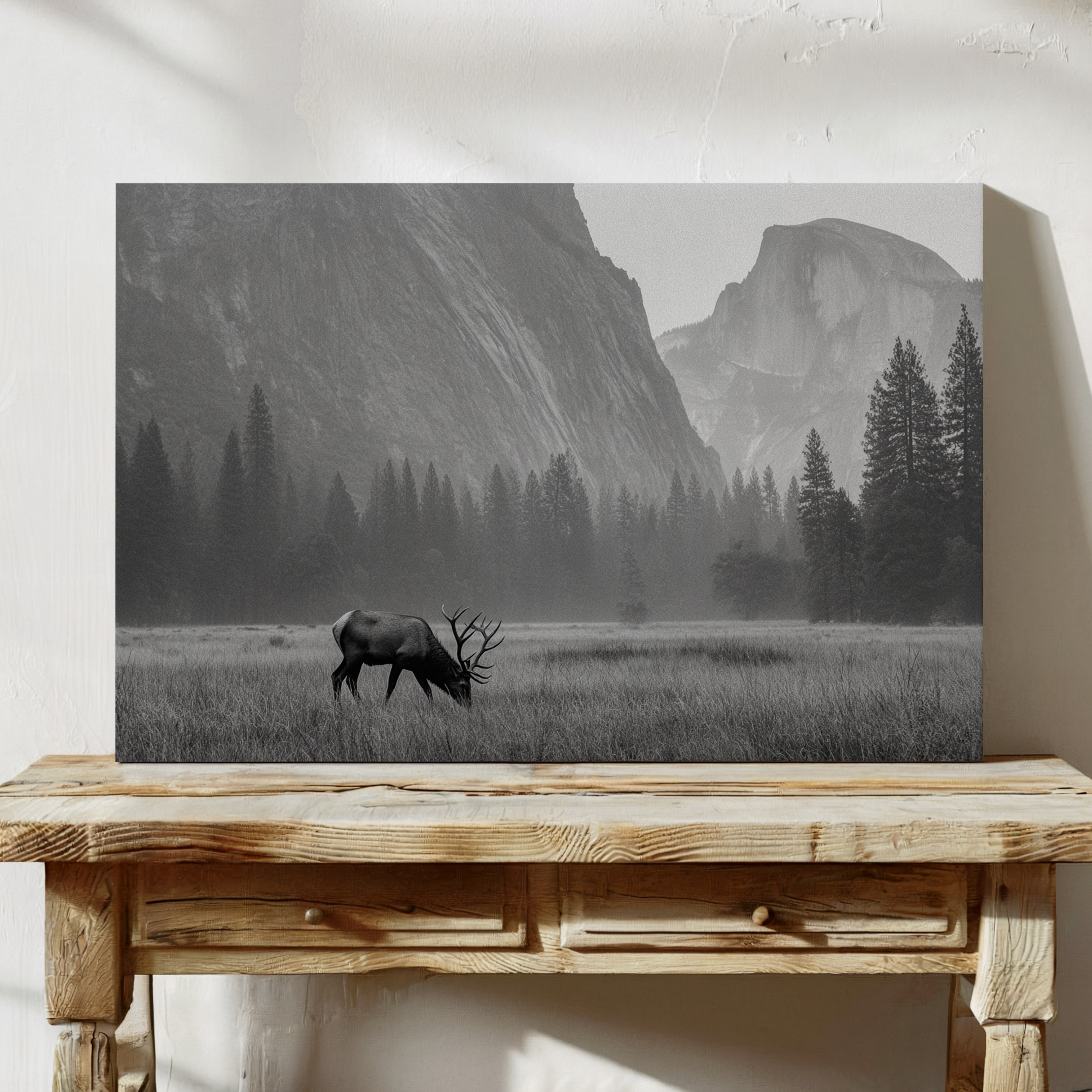 Lone Elk Graces Valley Floor