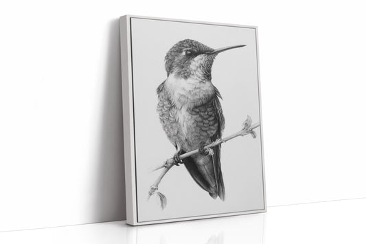 The Stillness of Feathered Grace