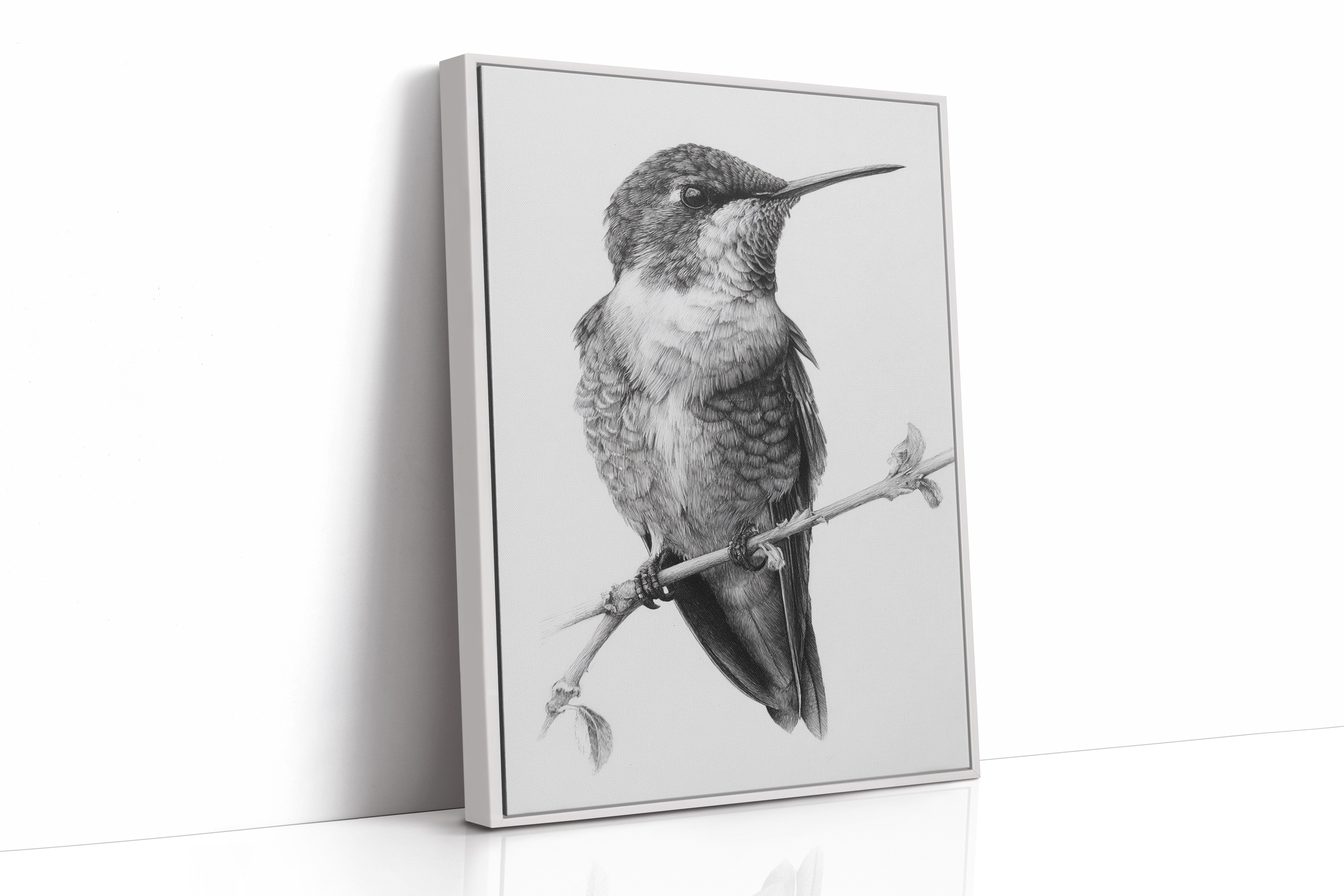 The Stillness of Feathered Grace