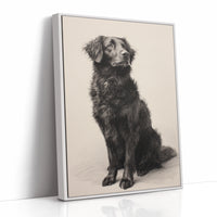 A Loyal Heart's Quiet Vigil