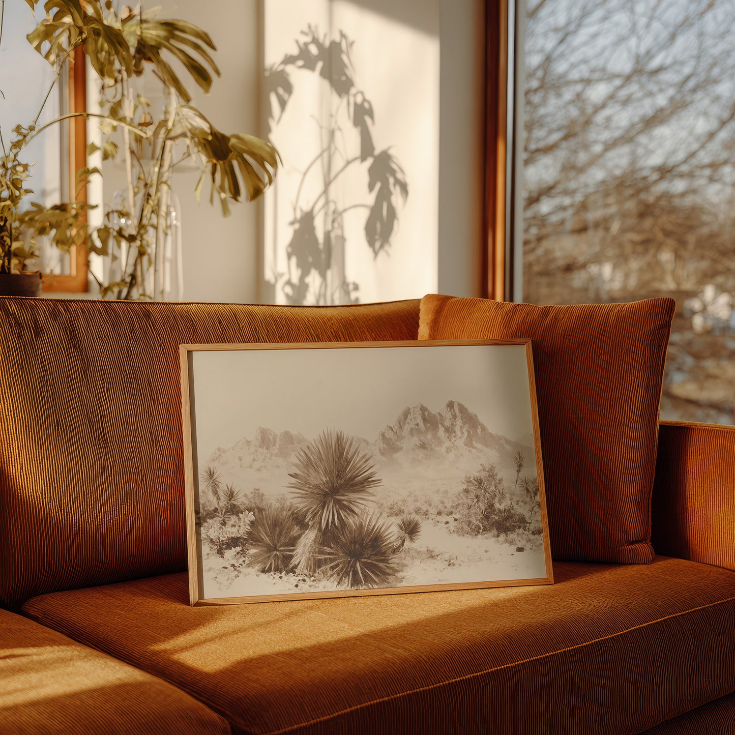 Yucca Blooms Pierce Desert Dawn