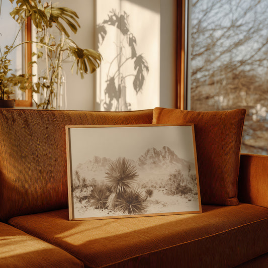 Yucca Blooms Pierce Desert Dawn