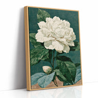 White Bloom on Cracked Teal Canvas