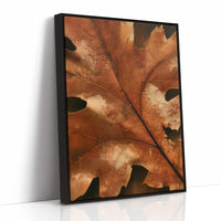 Vein Glory, print in a black frame