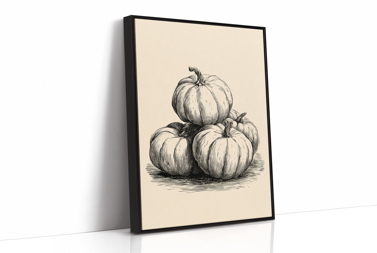 Top Gourd Takes The High Ground, print in a black frame