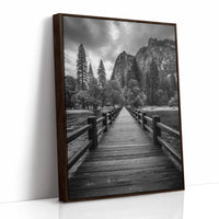 Journey Through Timbered Paths