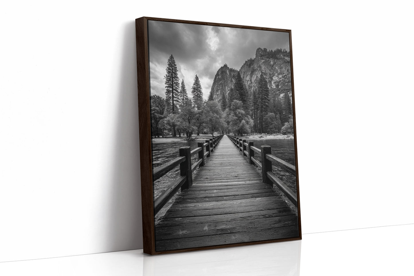 Journey Through Timbered Paths