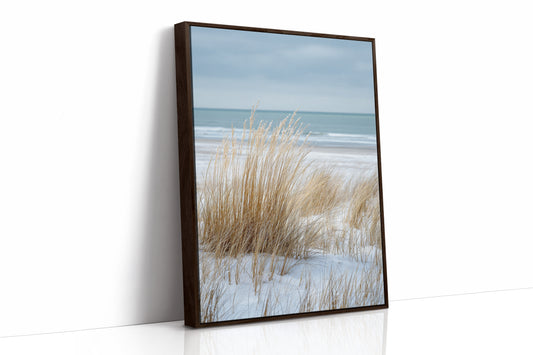Tides That Kiss the Dunes