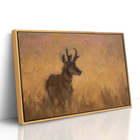 Pronghorn in Golden Grass