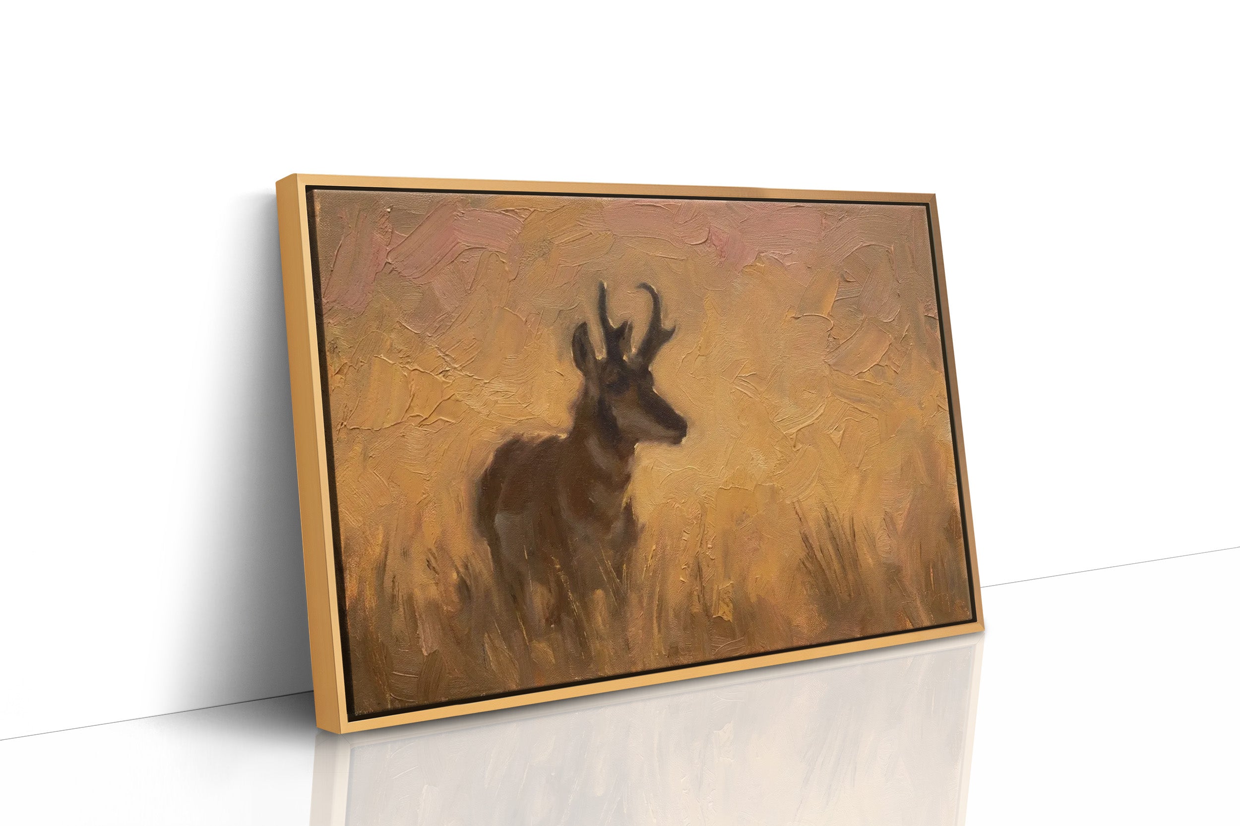 Pronghorn in Golden Grass